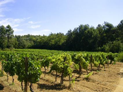 Mas Boudeissoun - Coeur De Cerise - Baignade A 600 M Villa Mormoiron Eksteriør billede